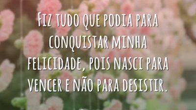 Fiz tudo que podia para conquistar minha felicidade, pois nasci para vencer&hellip;