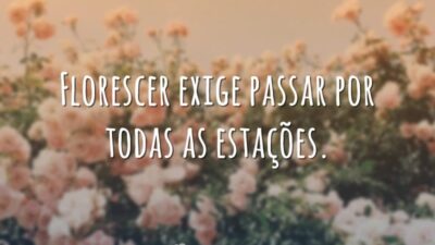 Florescer exige passar por todas as estações.