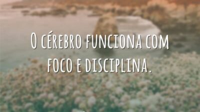 O cérebro funciona com foco e disciplina.