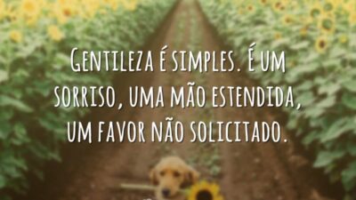 Gentileza é simples. É um sorriso, uma mão estendida, um favor não&hellip;