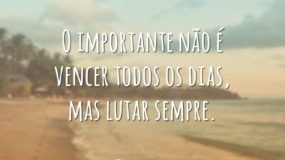 O importante não é vencer todos os dias, mas lutar sempre.