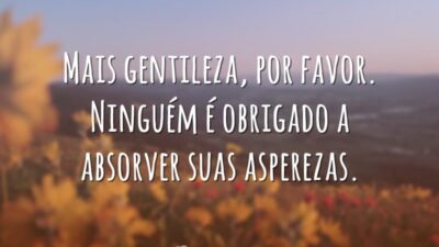 Mais gentileza, por favor. Ninguém é obrigado a absorver suas asperezas.