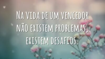 Na vida de um vencedor não existem problemas, existem desafios.
