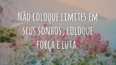 Não coloque limites em seus sonhos, coloque força e luta.