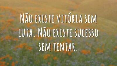 Não existe vitória sem luta. Não existe sucesso sem tentar.