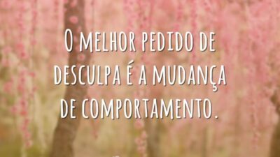 O melhor pedido de desculpa é a mudança de comportamento.
