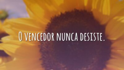 O vencedor nunca desiste.
