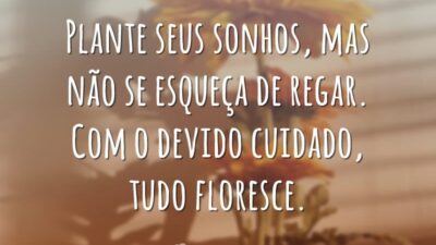 Plante seus sonhos