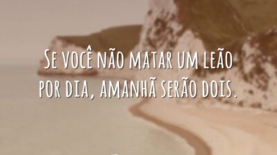 Se você não matar um leão por dia, amanhã serão dois.