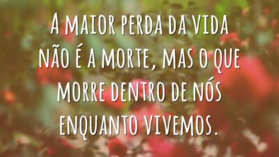 A maior perda da vida não é a morte, mas o que morre dentro de nós enquanto vivemos.