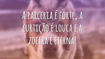 A parceria é forte, a curtição é louca e a zoeira é eterna!