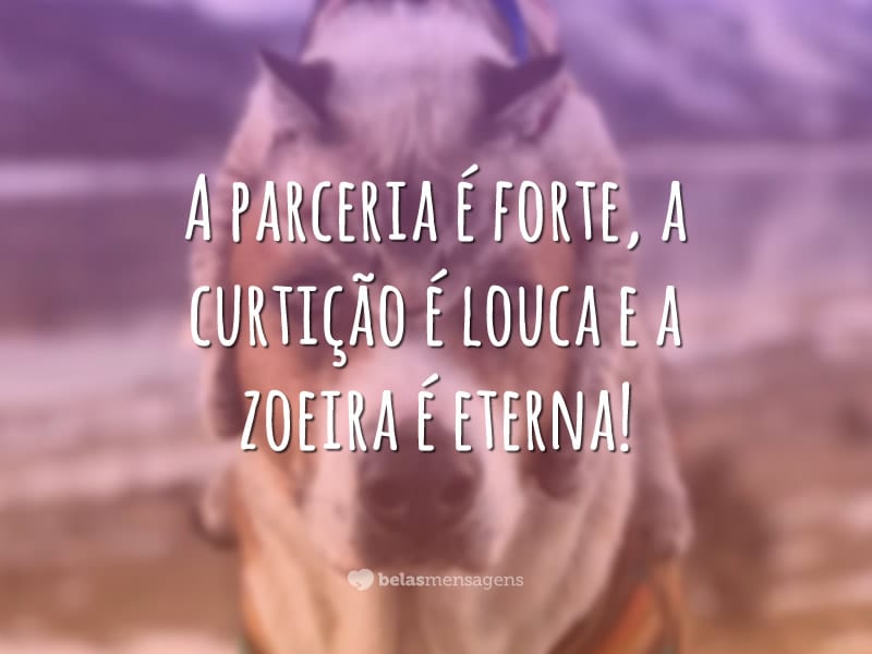 A parceria é forte, a curtição é louca e a zoeira é eterna!