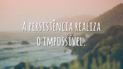 A persistência realiza o impossível.