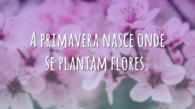 A primavera nasce onde se plantam flores.