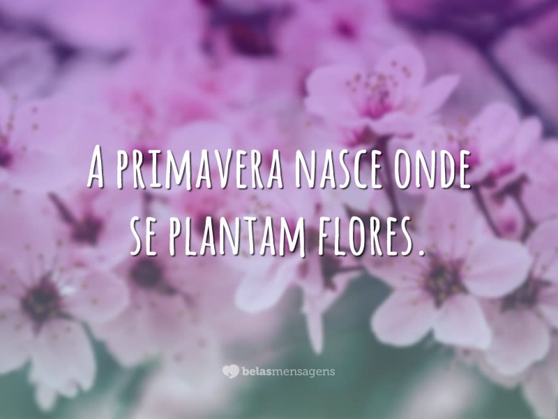 A primavera nasce onde se plantam flores.