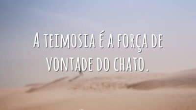 A teimosia é a força de vontade do chato.