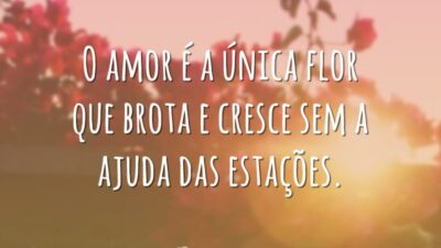 O amor é a única flor que brota e cresce sem a ajuda das estações.