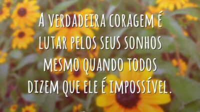 A verdadeira coragem é lutar pelos seus sonhos mesmo quando todos dizem que ele é impossível.