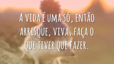 A vida é uma só, então arrisque, viva, faça o que tiver que fazer.