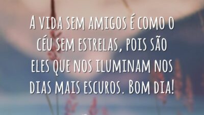 A vida sem amigos é como o céu sem estrelas, pois são eles que nos iluminam nos dias mais escuros. Bom dia!