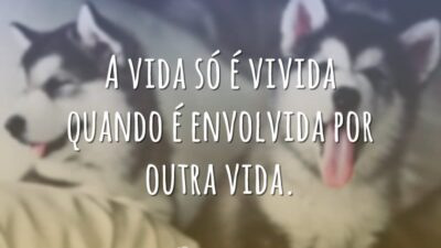 A vida só é vivida quando é envolvida por outra vida.