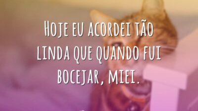 Hoje eu acordei tão linda que quando fui bocejar, miei.