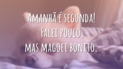 Amanhã é segunda! Falei pouco, mas magoei bonito.