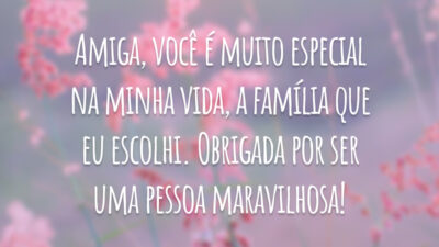 Amiga, você é muito especial na minha vida, a família que eu escolhi. Obrigada por ser uma pessoa maravilhosa!