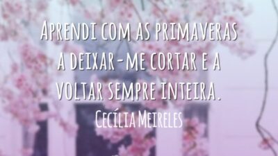 Aprendi com as primaveras a deixar-me cortar e a voltar sempre inteira.