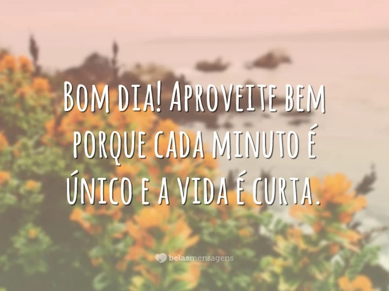 Bom dia! Aproveite bem porque cada minuto é único e a vida é curta.