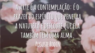 A arte é a contemplação: é o prazer do espírito que penetra a natureza e descobre que ela também tem uma alma.