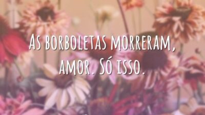 As borboletas morreram, amor. Só isso.