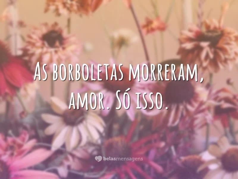 As borboletas morreram, amor. Só isso.