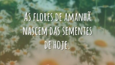 As flores de amanhã nascem das sementes de hoje.