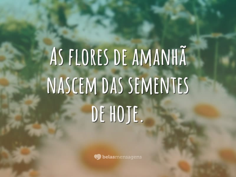 As flores de amanhã nascem das sementes de hoje.