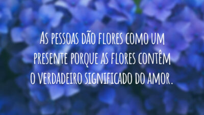As pessoas dão flores como um presente porque as flores contêm o verdadeiro significado do amor.