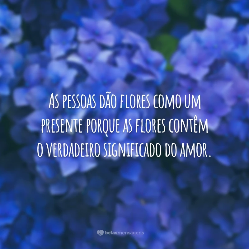 As pessoas dão flores como um presente porque as flores contêm o verdadeiro significado do amor.