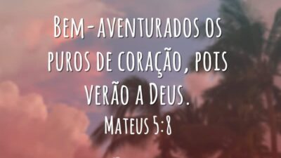 Bem-aventurados os puros de coração, pois verão a Deus.