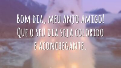 Bom dia, meu anjo amigo! Que o seu dia seja colorido e aconchegante.