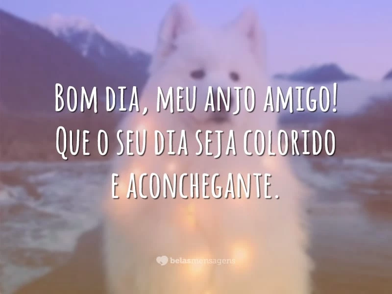 Bom dia, meu anjo amigo! Que o seu dia seja colorido e aconchegante.