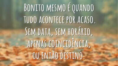 Bonito mesmo é quando tudo acontece por acaso. Sem data, sem horário, apenas coincidência, ou então destino.