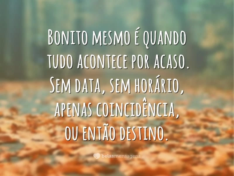 Bonito mesmo é quando tudo acontece por acaso. Sem data, sem horário, apenas coincidência, ou então destino.