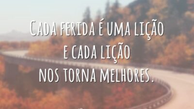 Cada ferida é uma lição e cada lição nos torna melhores.