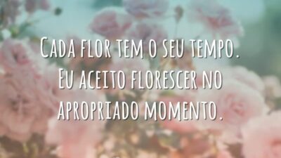 Cada flor tem o seu tempo. Eu aceito florescer no apropriado momento.