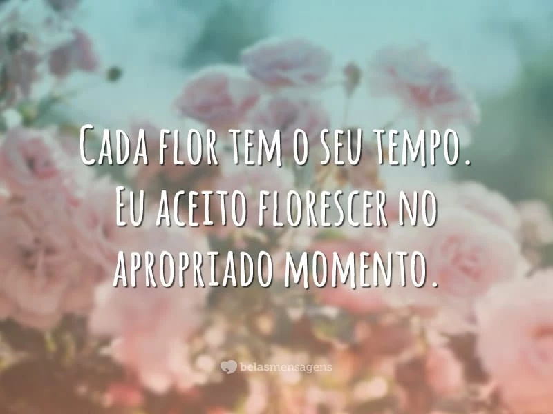 Cada flor tem o seu tempo. Eu aceito florescer no apropriado momento.