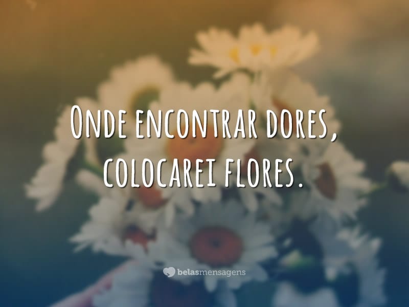 Onde encontrar dores, colocarei flores.