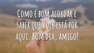 Como é bom acordar e saber que você está por aqui. Bom dia, amigo!