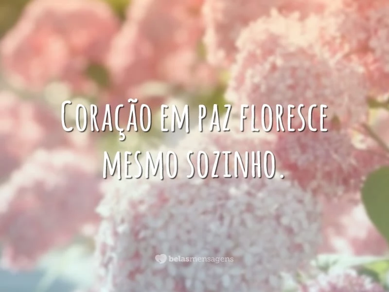 Coração em paz floresce mesmo sozinho.