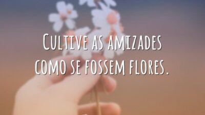 Cultive as amizades como se fossem flores.