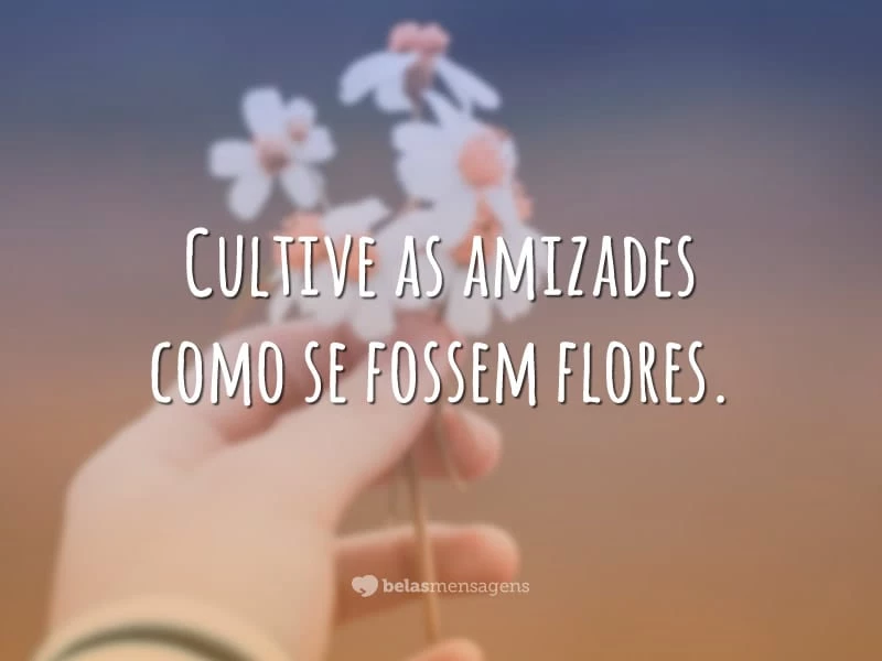 Cultive as amizades como se fossem flores.